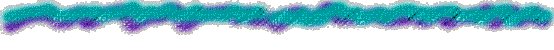 image004